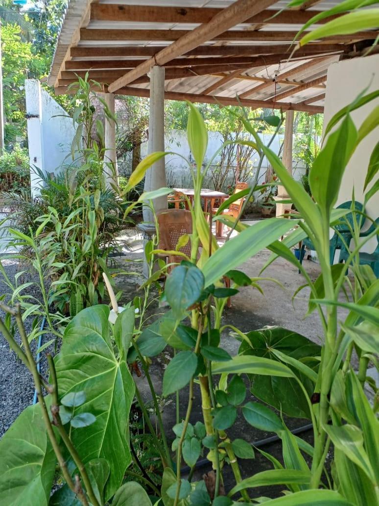 50* Stay ดิคเวลลา ภายนอก รูปภาพ